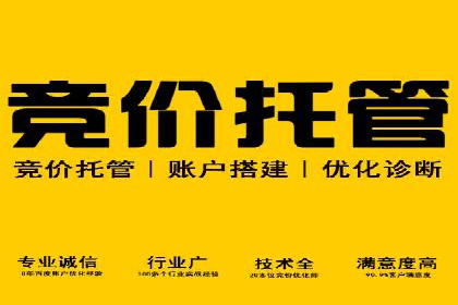 竞价排名成功案例分享